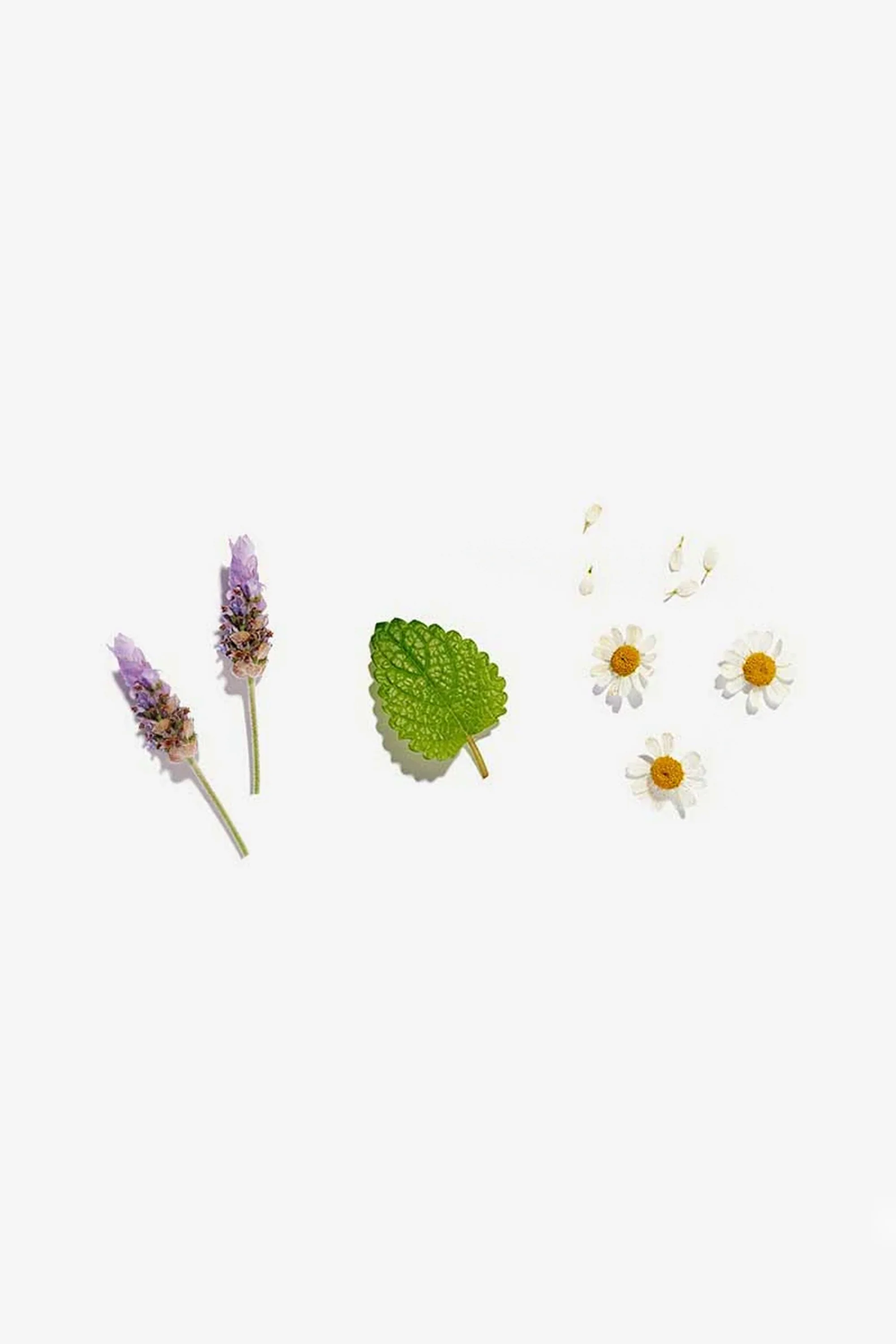 Calming Loose Leaf Tea - Image 4