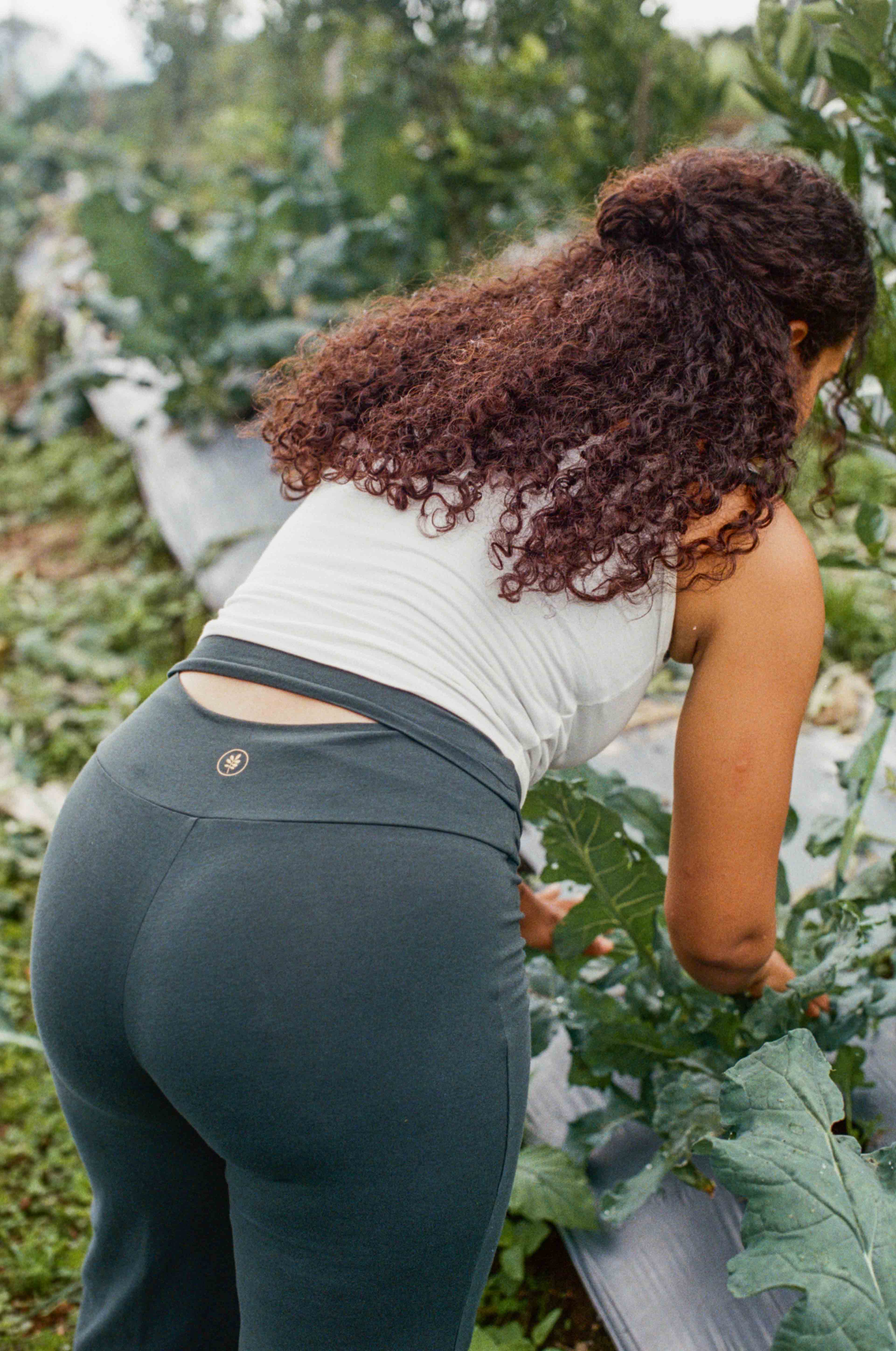 Eden Pant Evergreen - Image 6
